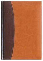 Notes Bolonia ciemny brąz/jasny brąz