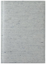 Notes Dakota popielaty