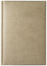 Notes Dallas piasek