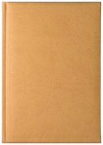 Notes Delhi miodowy