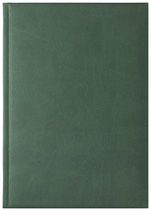 Notes Delhi zielony