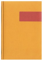 Notes Dublin miodowy/bordowy