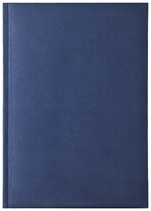 Notes Fogia niebieski