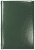 Notes Mexico zielony