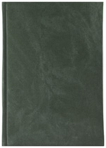 Notes Montana zielony