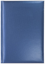 Notes Rio niebieski