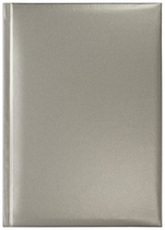 Notes Rio srebrny