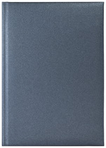 Notes Salvador niebieski