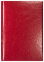 Notes Sydney czerwony