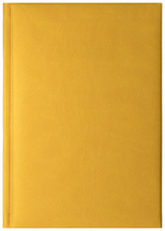 Notes Tucson żółty