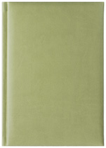 Notes Turyn oliwkowy